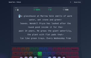 Interactive typing speed test