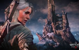 The Witcher screenshot 1