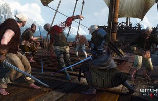 The Witcher screenshot 2