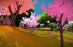 The Witness screenshot 3