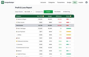 Profit & Loss Report