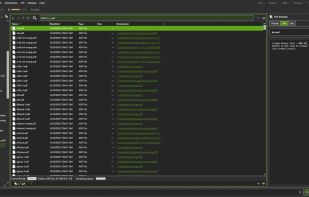 Search via everything + Previewpane