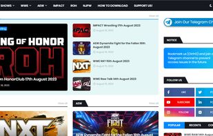 thepwc.xyz (The Pro Wrestling Club) screenshot 3