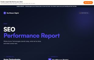 RankAgent screenshot 1