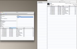 Main UI showing current playlist (right window) and music library (left window)