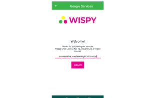 Enter TheWiSpy license key