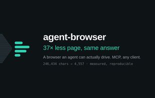 thinbrowser screenshot 1