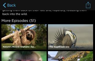 THIRTEEN screenshot 2