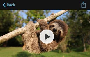 THIRTEEN screenshot 1