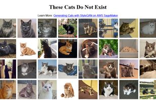 These Cats Do Not Exist screenshot 1