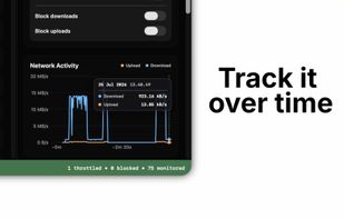 Track recent upload and download activity over time to identify bandwidth spikes and see how active limits affect network usage.