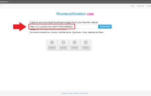 Thumbnail Grabber screenshot 1