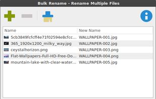 Thunar Bulk Renamer screenshot 1