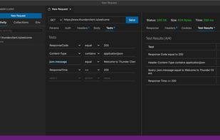 Thunder Client Tests