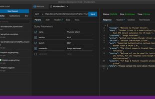 Thunder Client Main Interface