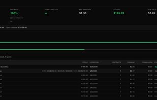 Performance by ticker. Win rate, P&L, and full trade history for every symbol you trade.