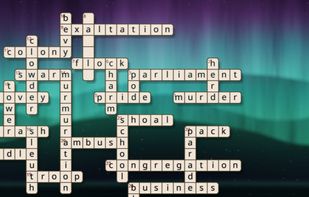 Crossword with auroura background