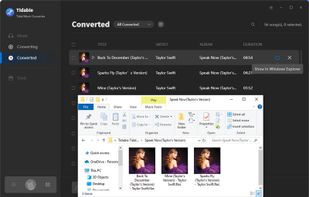 Tidabie Tidal Music Converter screenshot 2