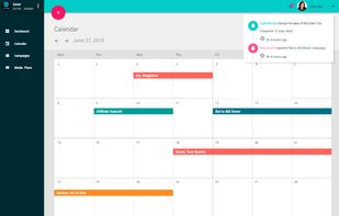 TidyMarketer.com screenshot 1