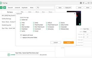 TidyTag Music Tag Editor screenshot 3