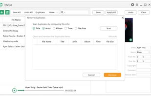 TidyTag Music Tag Editor screenshot 2