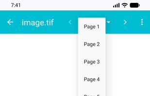 TIFF Viewer and Converter screenshot 1