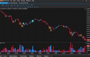 Tiger Trade Soft screenshot 3