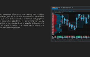 Tiger Trade Soft screenshot 2