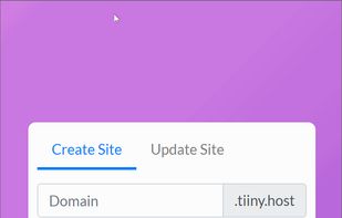 tiiny.host screenshot 1