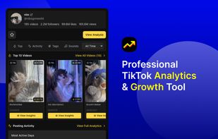 TikInsights screenshot 1