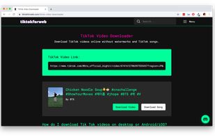 TikTok for Web screenshot 2
