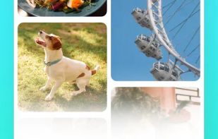 TikTok Notes screenshot 3