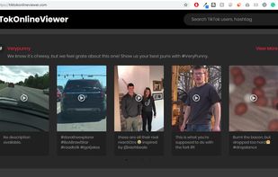 TikTok Online Viewer screenshot 1