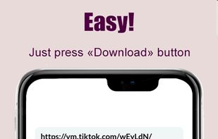 TikTok Video Downloader screenshot 1