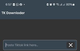 Tiktok Video Downloader VIP screenshot 1