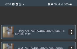 Tiktok Video Downloader VIP screenshot 2