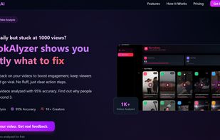 TikTokAlyzer.AI screenshot 1