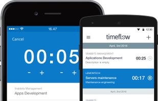 Timeflow screenshot 1