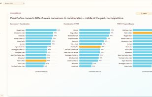 Brand funnel: Conversion