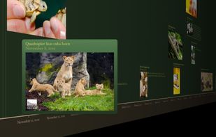 Timeline 3D screenshot 2