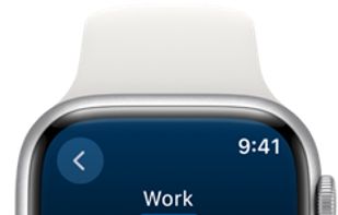 Timelines Time Tracking screenshot 3