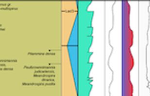 TimeScale Creator screenshot 1
