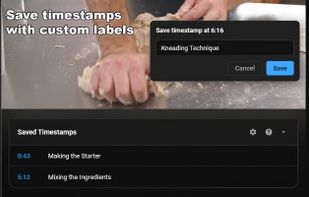 Save timestamps with custom labels while watching YouTube videos. Add descriptive labels for easy recall.