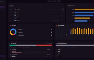 Detailed breakdown of your activity, productivity, and top applications