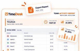 Time and activity reports for the team, a member or a project