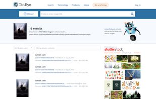 TinEye screenshot 1