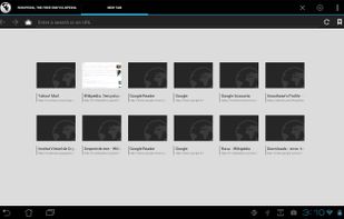 Tint Browser screenshot 2