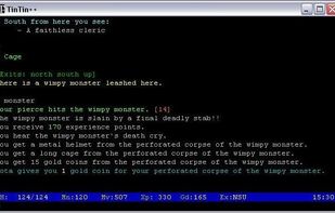 A session with a split screen prompt bar
