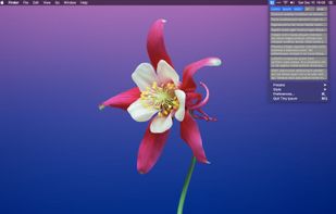 Tiny Ipsum screenshot 1