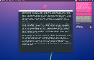 Tiny Ipsum screenshot 2